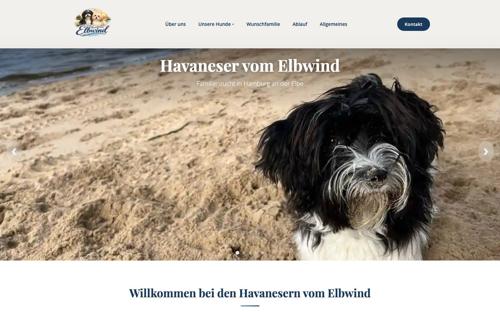 Startseite von vom-elbwind.de — Website einer Havaneser-Hundezucht in Hamburg